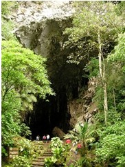 Cueva de Guacharo